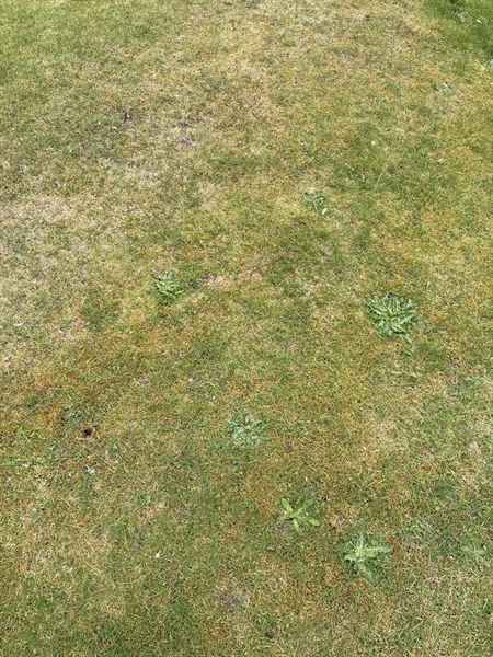 Grave number: SKF B   140