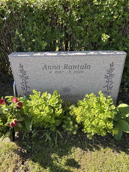 Grave number: 4 G GD    24-26