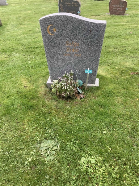 Hautatunnus: 1 3 M/Be    49