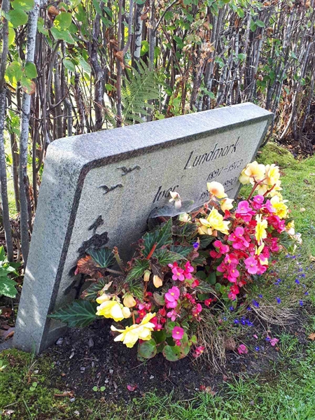 Gravnummer: NK F B   196