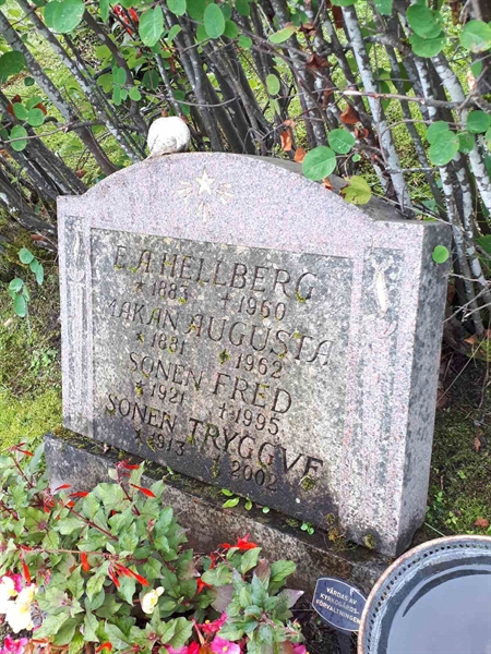 Hautatunnus: NK F A   177