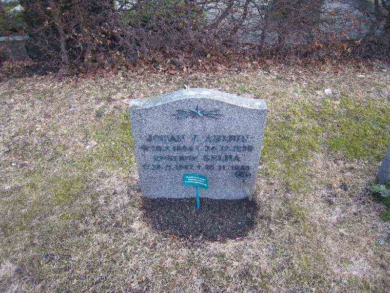 Grave number: NK I:u   220