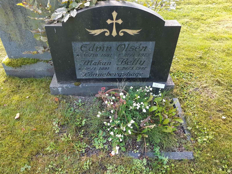 Hautatunnus: Fr 7   211-212