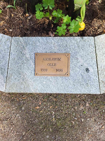 Grave number: H AG   265-266