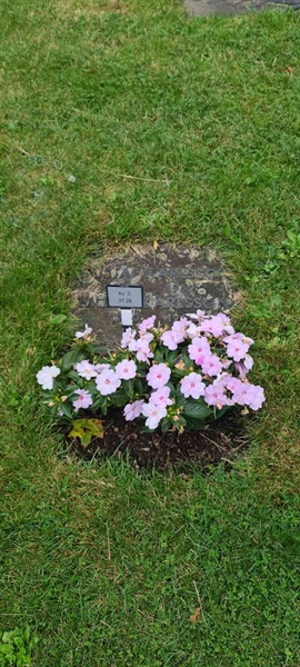 Grave number: M S   27, 28
