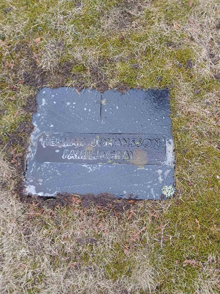 Gravnummer: 2 8   22, 23, 24