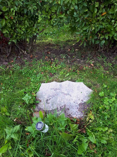 Hautatunnus: NK F D   674