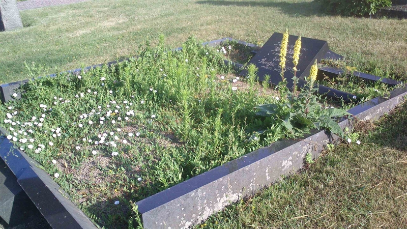 Grave number: ÖK 6    59