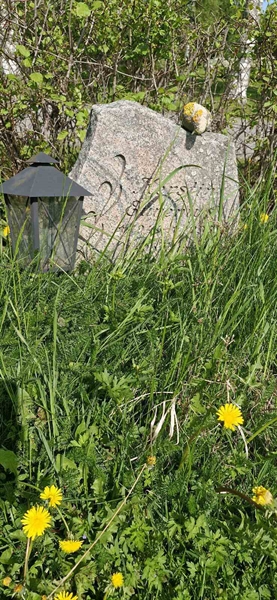 Hautatunnus: 2 HÄGGE 18