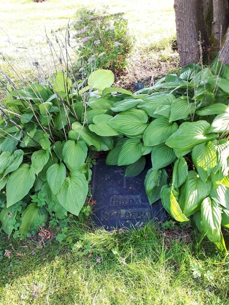 Hautatunnus: NK A A   201