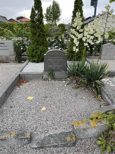 Grave number: NK IX   146