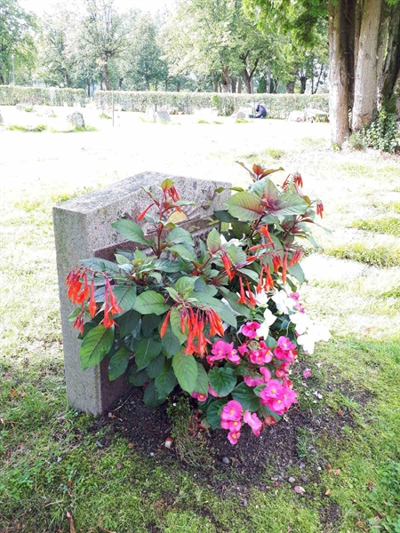 Gravnummer: NK A A   198