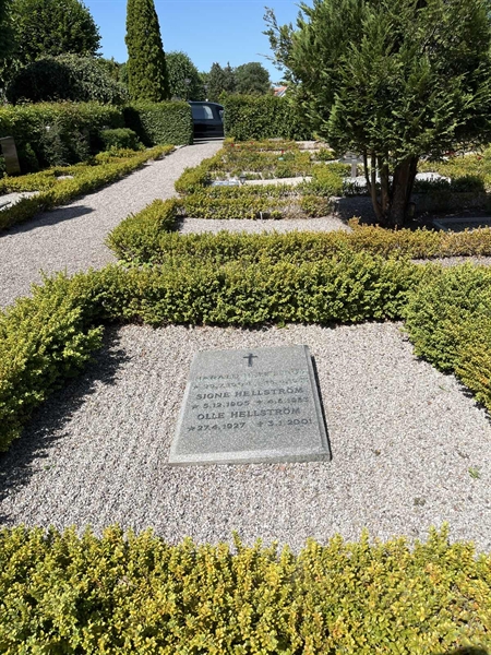 Grave number: NK G 81-82