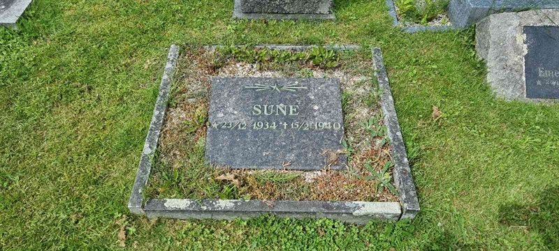 Grave number: LM 3 48  022