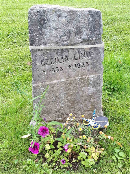 Hautatunnus: GK A 4   307V