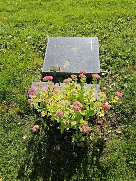 Grave number: Fr 7   137