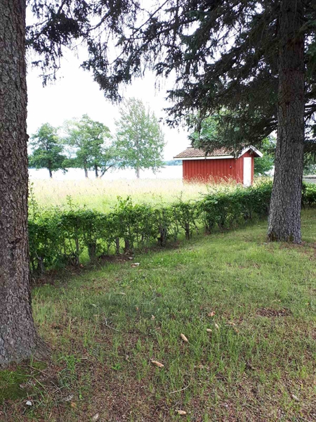 Gravnummer: GK F 5   503