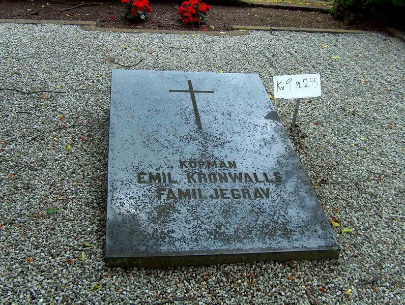 Grave number: HÖB 9   245
