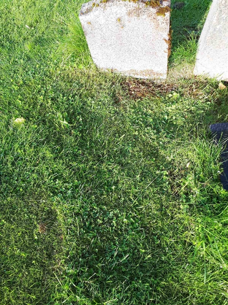 Gravnummer: NK A A    62