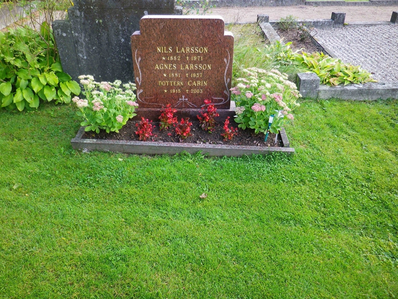 Grave number: VI A    48, 49, 50