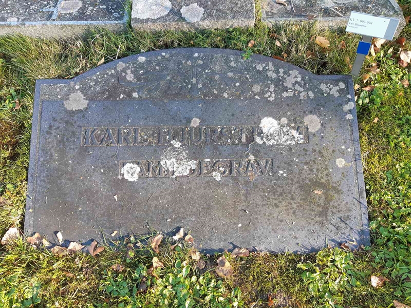 Hautatunnus: Fr 7   993-994