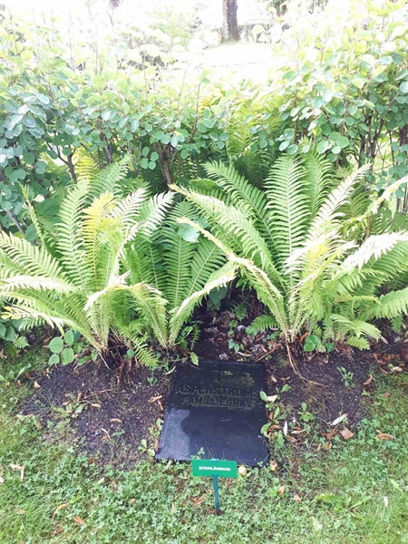 Gravnummer: GK F 4   383