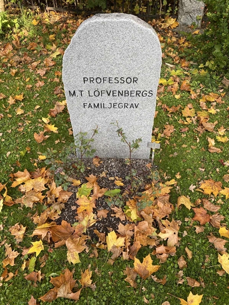 Gravnummer: 1 H   269