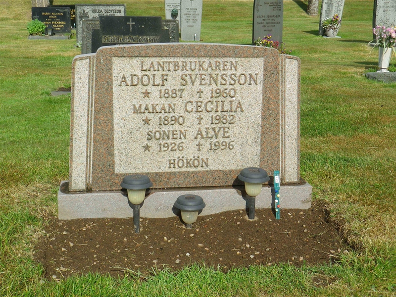 Grave number: LO L    29, 30