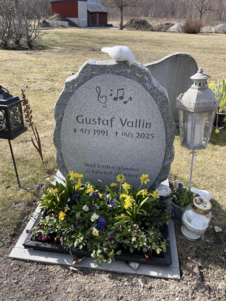 Gravnummer: 3 P    27