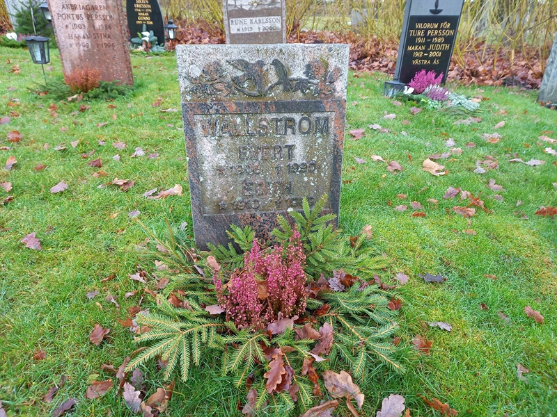Grave number: NO 08    50