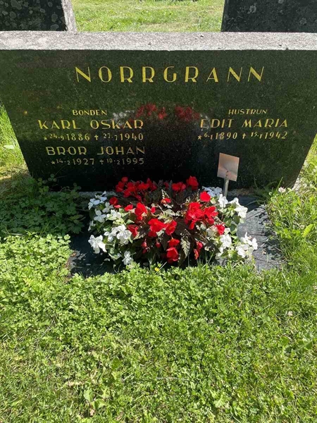 Hautatunnus: N 5 2   264