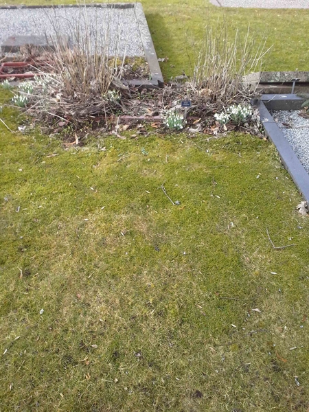 Grave number: HG TRAST   784, 785