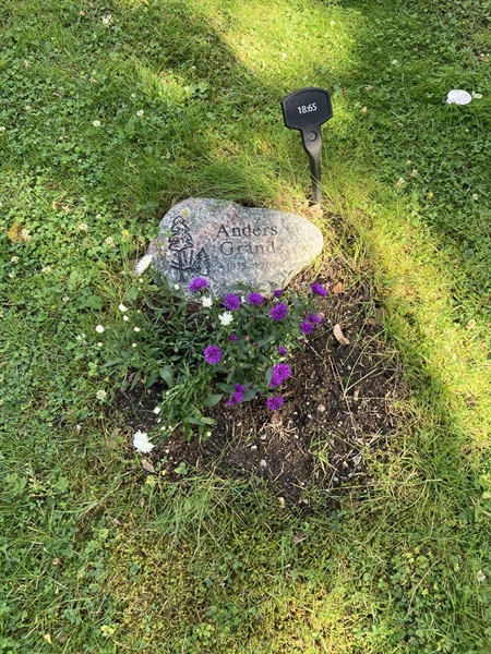 Grave number: 1 18    65