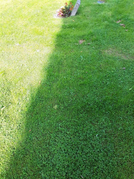 Gravnummer: NK A A   285