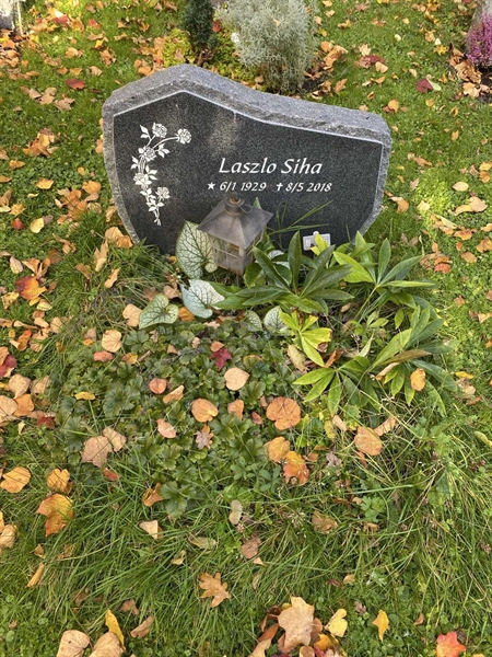 Hautatunnus: 1 H   246