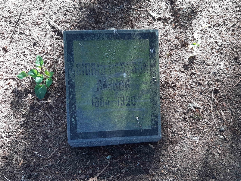 Grave number: VI Ö:A   194