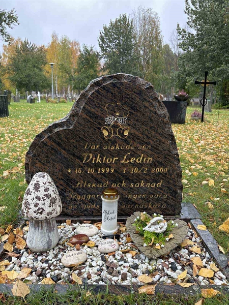 Hautatunnus: NK 17    32