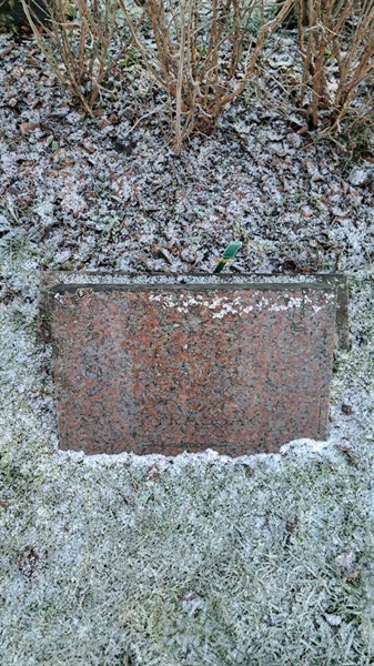 Hautatunnus: 6 05     99