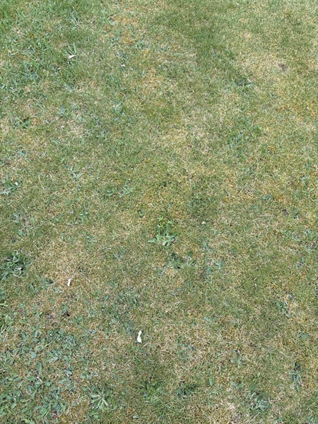 Grave number: SKF A   181