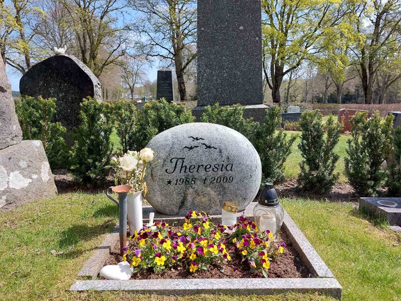 Grave number: HÖ 6    4