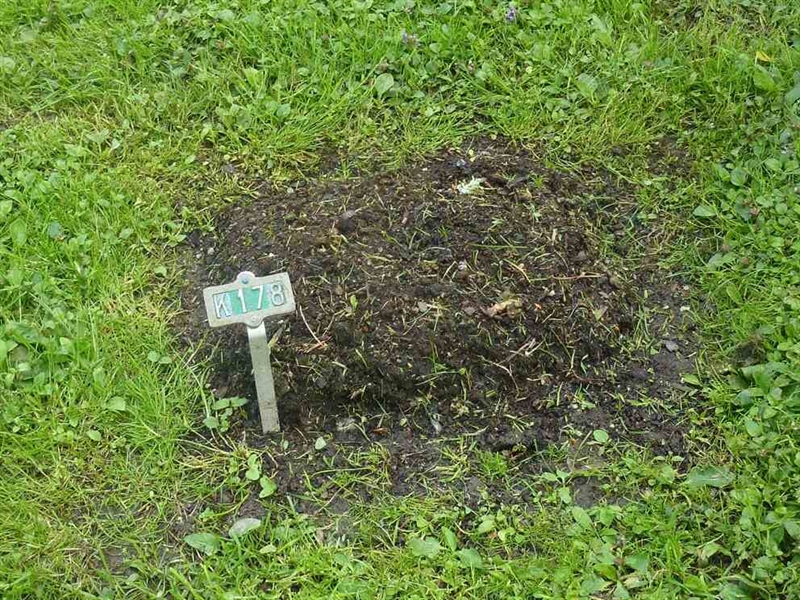 Grave number: 1 K  178
