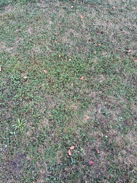Grave number: NK XV:u    45a