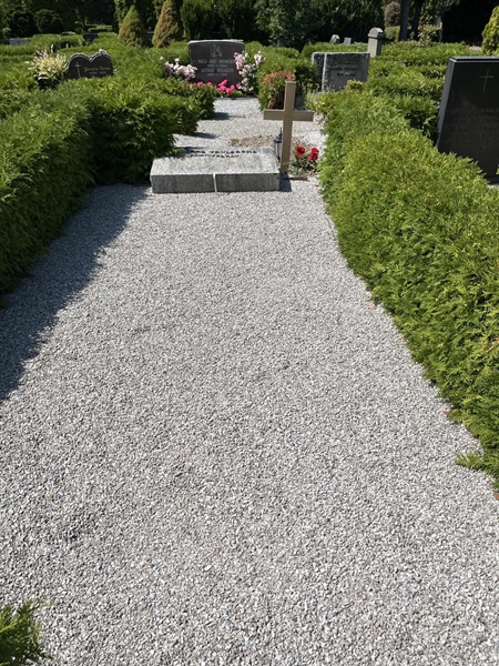 Grave number: NK VII    36