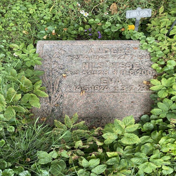 Hautatunnus: 1 T   323