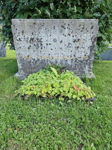 Grave number: 1 06     6
