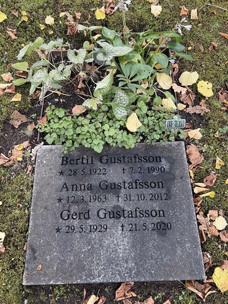 Grave number: 1 U   210