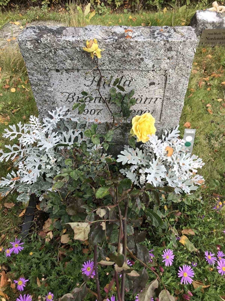 Grave number: ÅR U1    65