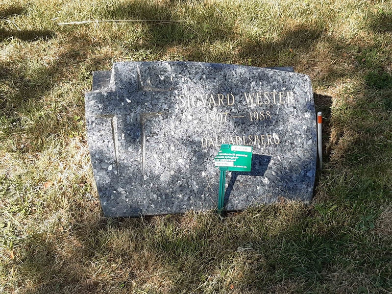 Grave number: VI 02   655