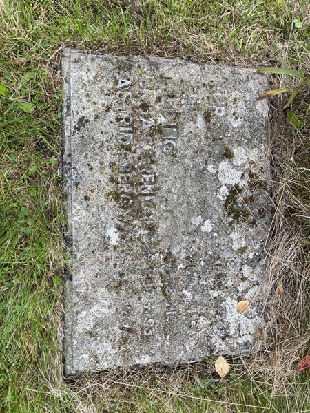 Grave number: MV II     2