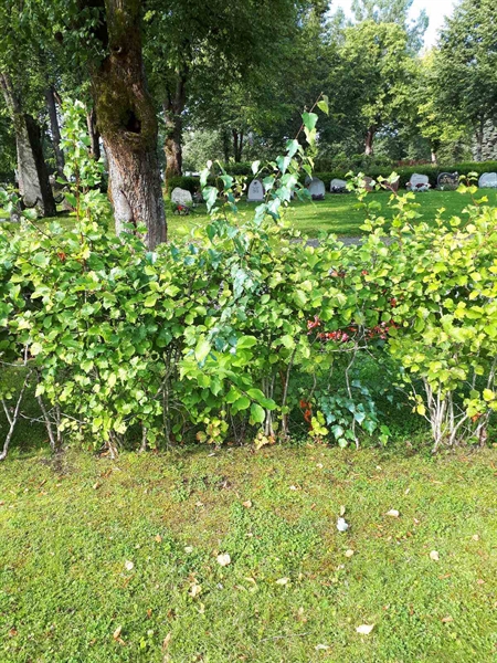 Gravnummer: NK F A     3